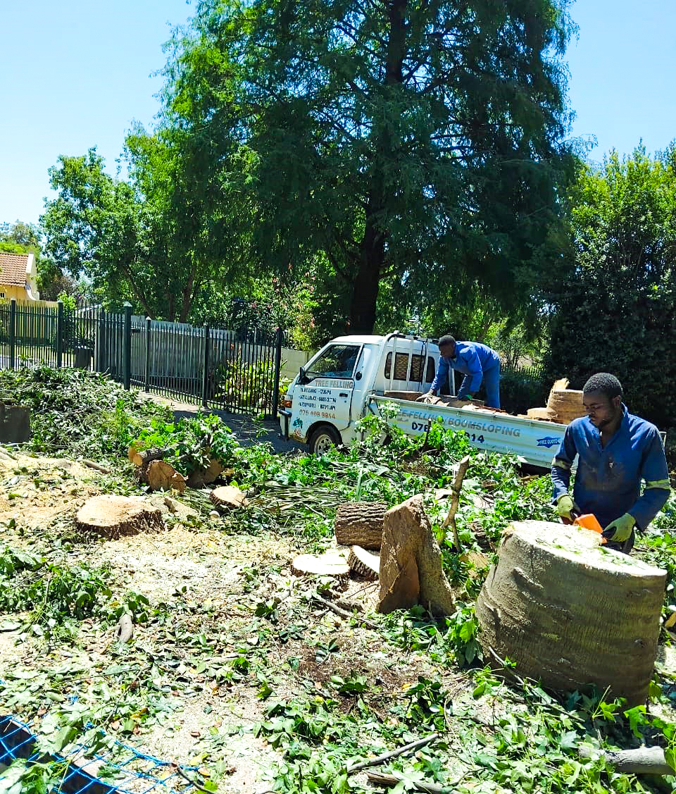 2bros-tree-felling-8